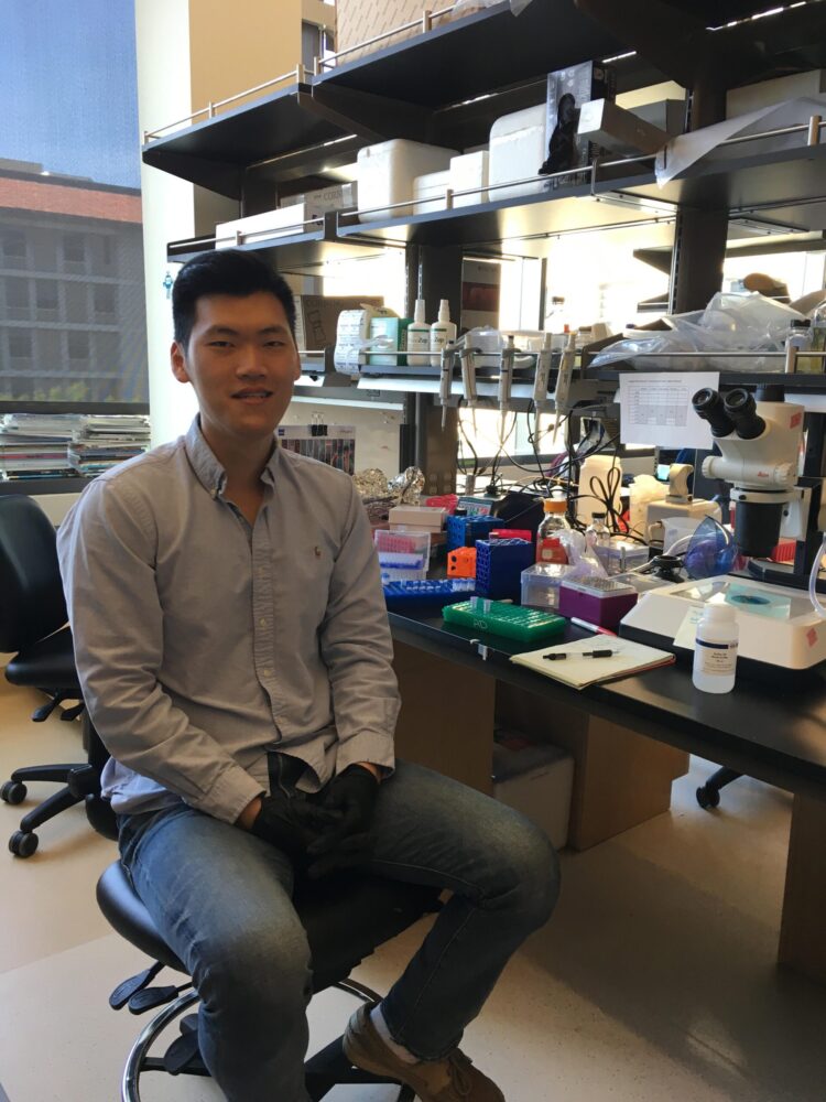 Profile image of Daniel Jong Hyun Choi
