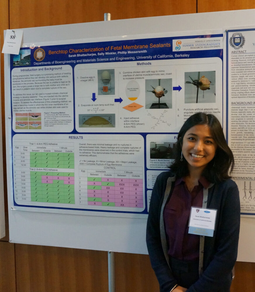 Profile image of Sarah Bhattacharjee