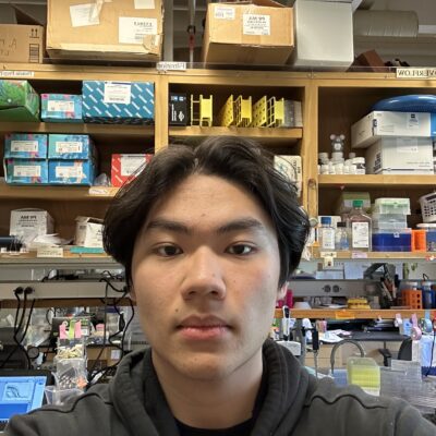 Headshot of Bao Nguyen