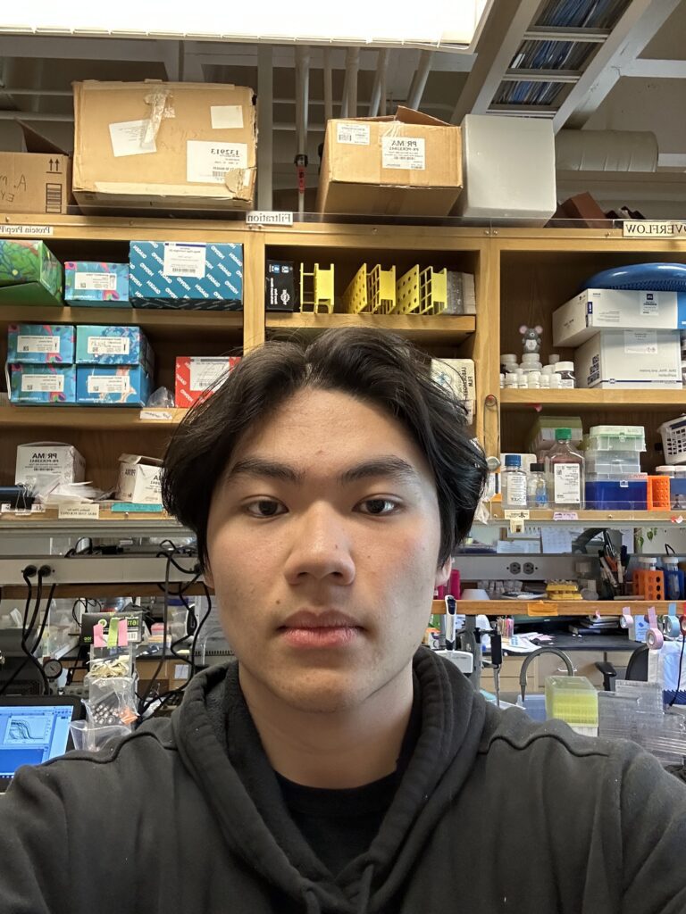 Headshot of Bao Nguyen